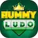Rummy Ludo icon